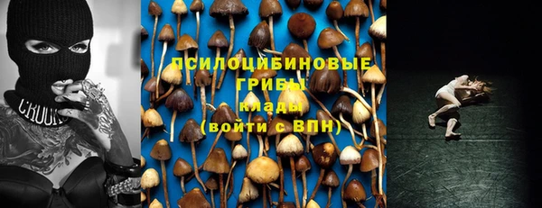 тгк Баксан
