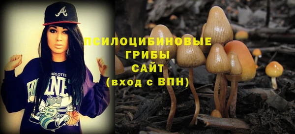 ECSTASY Балахна
