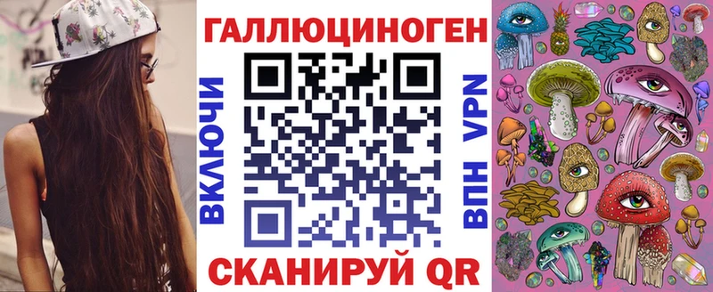 Псилоцибиновые грибы Psilocybe  Купить закладки  Долгопрудный 